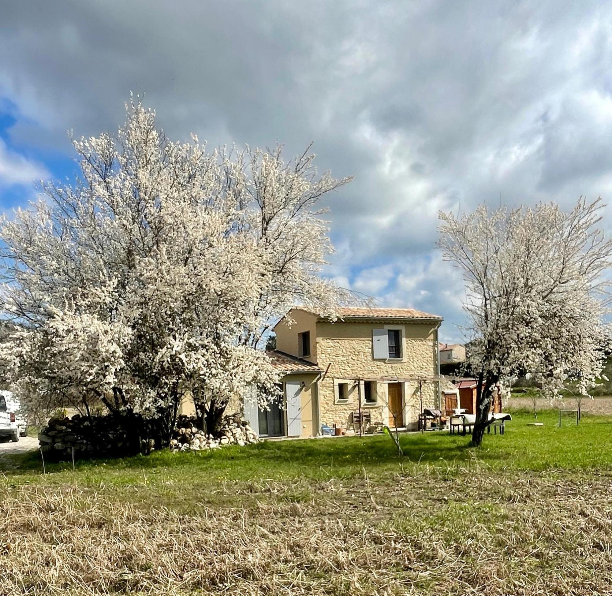 فيلا Le Petit Cabanon Provencal Mane  المظهر الخارجي الصورة